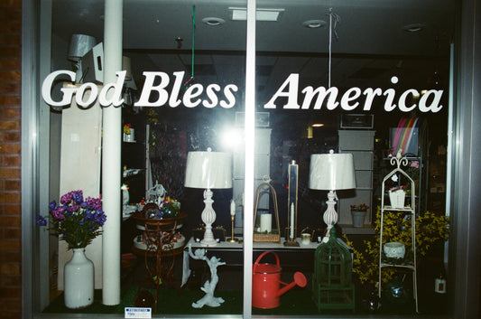 Petshop - Alex Jochim	- God Bless America
