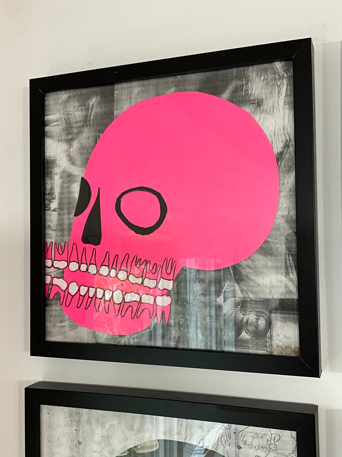 Petshop - Cody Heinert - 41 - Neon Pink Skull