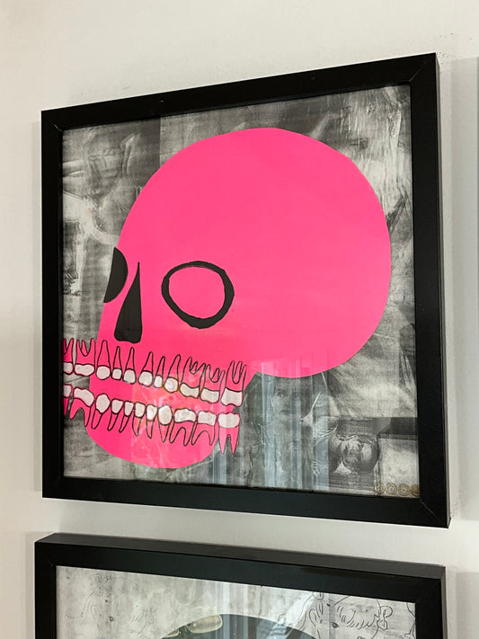 Petshop - Cody Heinert - 41 - Neon Pink Skull