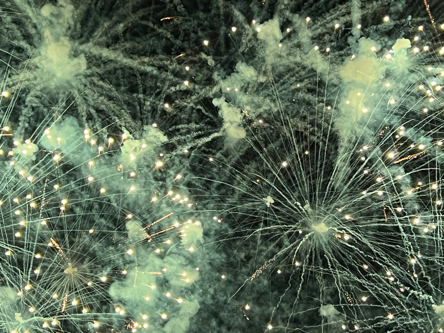 Petshop - Yuanjun Chen - 17 - Fireworks