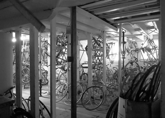 Petshop - Yuanjun Chen - 2 - Community Bike Project