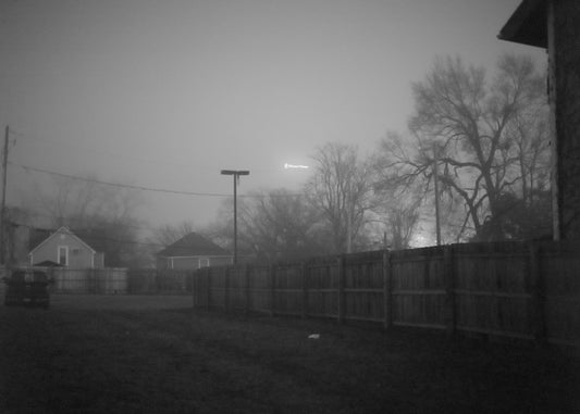 Petshop - Yuanjun Chen - 38 - A Foggy Day in Omaha