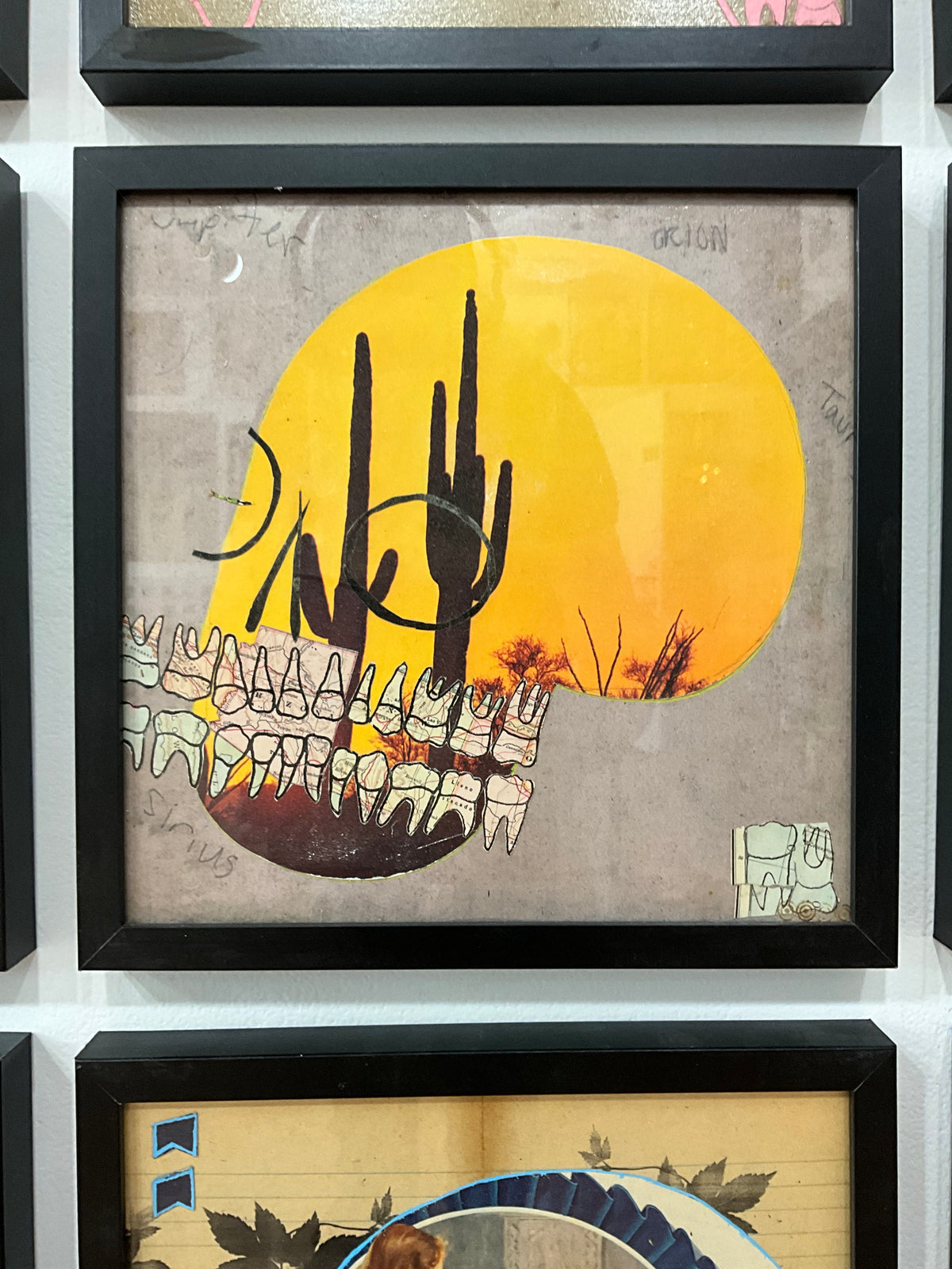 Petshop - Cody Heinert - 103 - Saguaro Cactus Arizona Map Teeth Via Mexico Skull