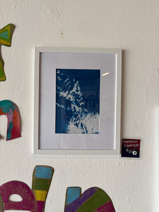 BFF Gallery - Anonymous - Untitled Cyanotype