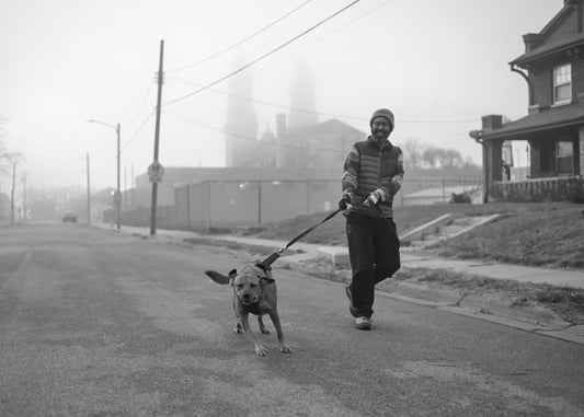 Petshop - Yuanjun Chen - 3 - St. Cecilia Cathedral in the Fog
