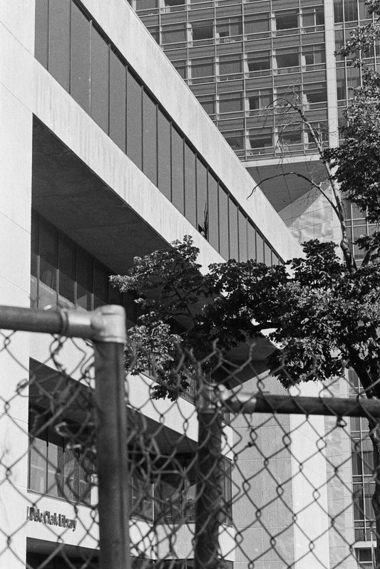 Petshop - Yuanjun Chen - 40 - First Day of the Demolition II