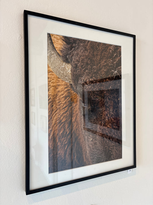 BFF Gallery - Carol Luckowski - Up Close