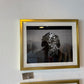 BFF Gallery - Santi Mora-Amaral - Pastures