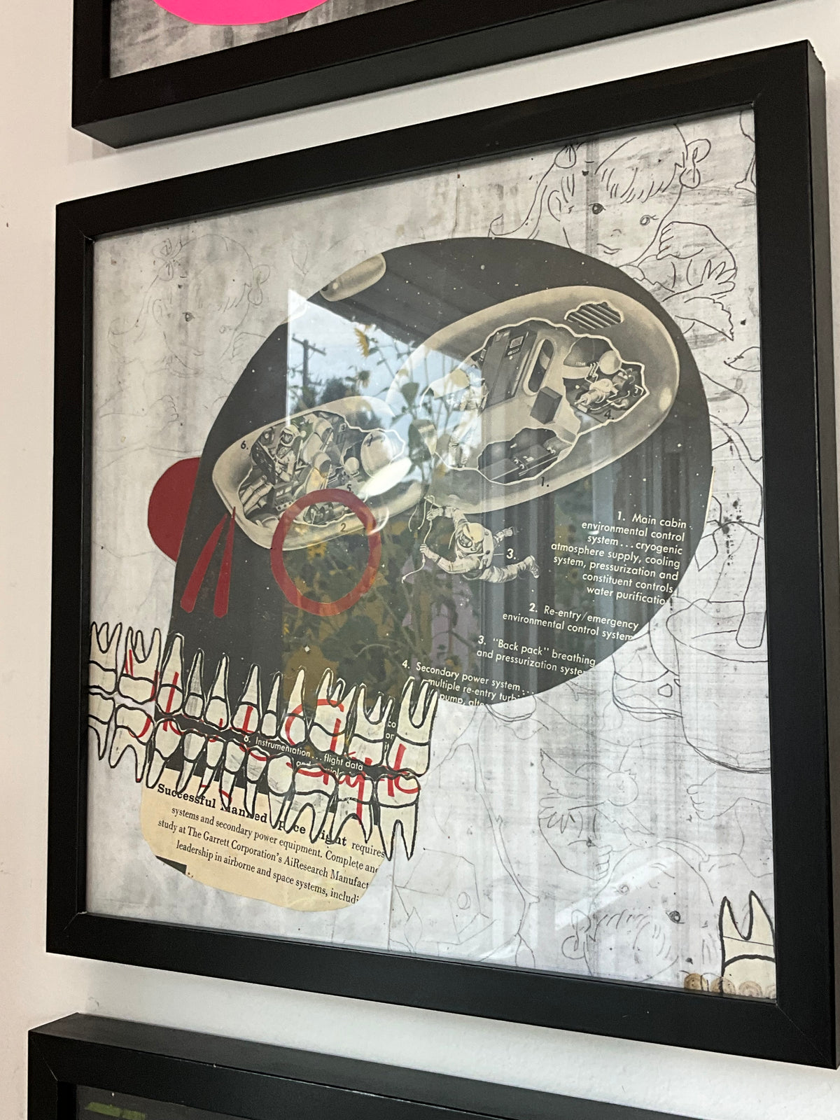 Petshop - Cody Heinert - 54 - Future of Today Skull