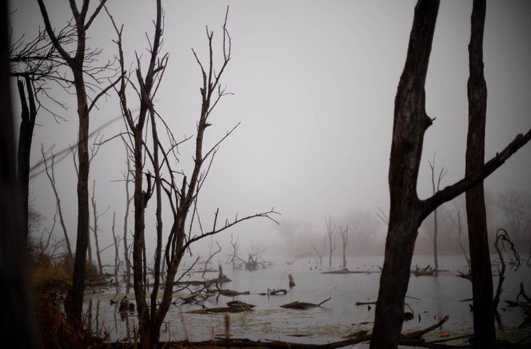 BFF Gallery - Adam Audlehelm - Solitude's Cold Breath