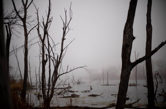 BFF Gallery - Adam Audlehelm - Solitude's Cold Breath