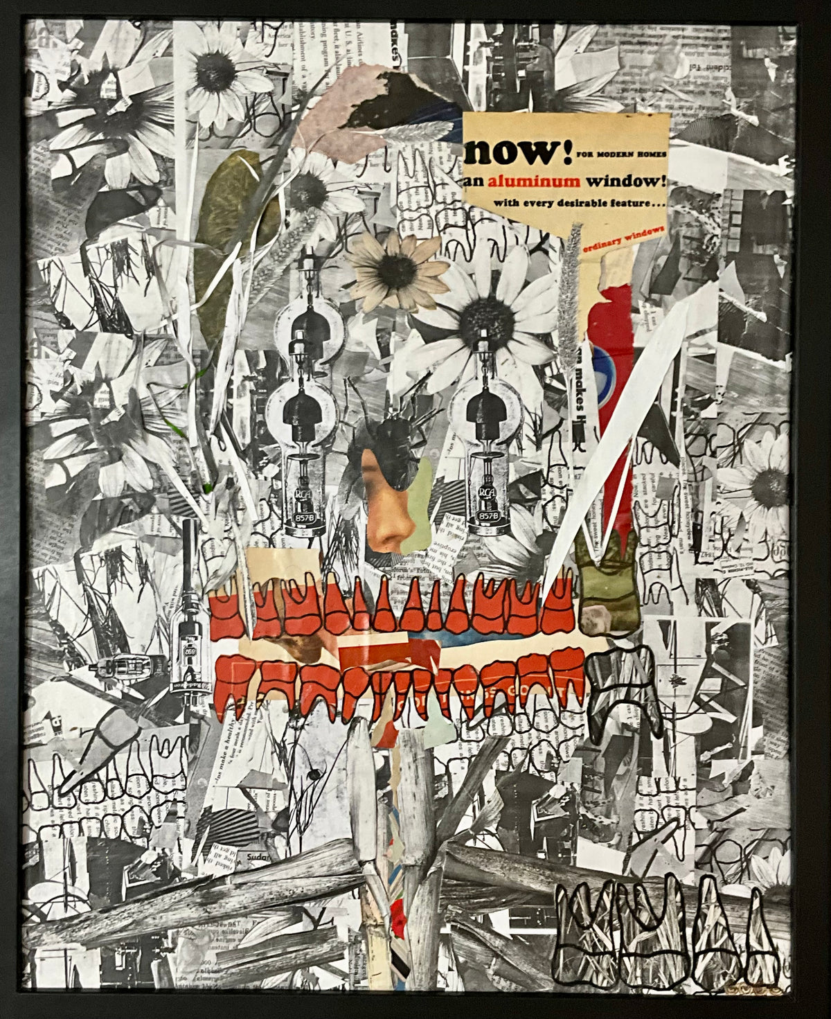 Petshop - Cody Heinert - 15 - Passage of time