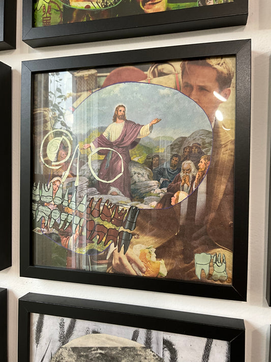 Petshop - Cody Heinert - 68 - Jesus, Ryan Gosling and His Hamburger Skull