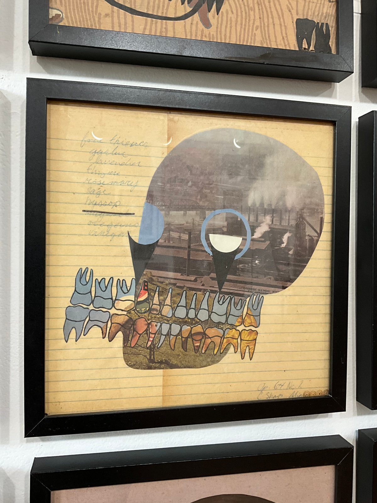 Petshop - Cody Heinert - 85 - Pollution and Four Thieves Recipe Skull