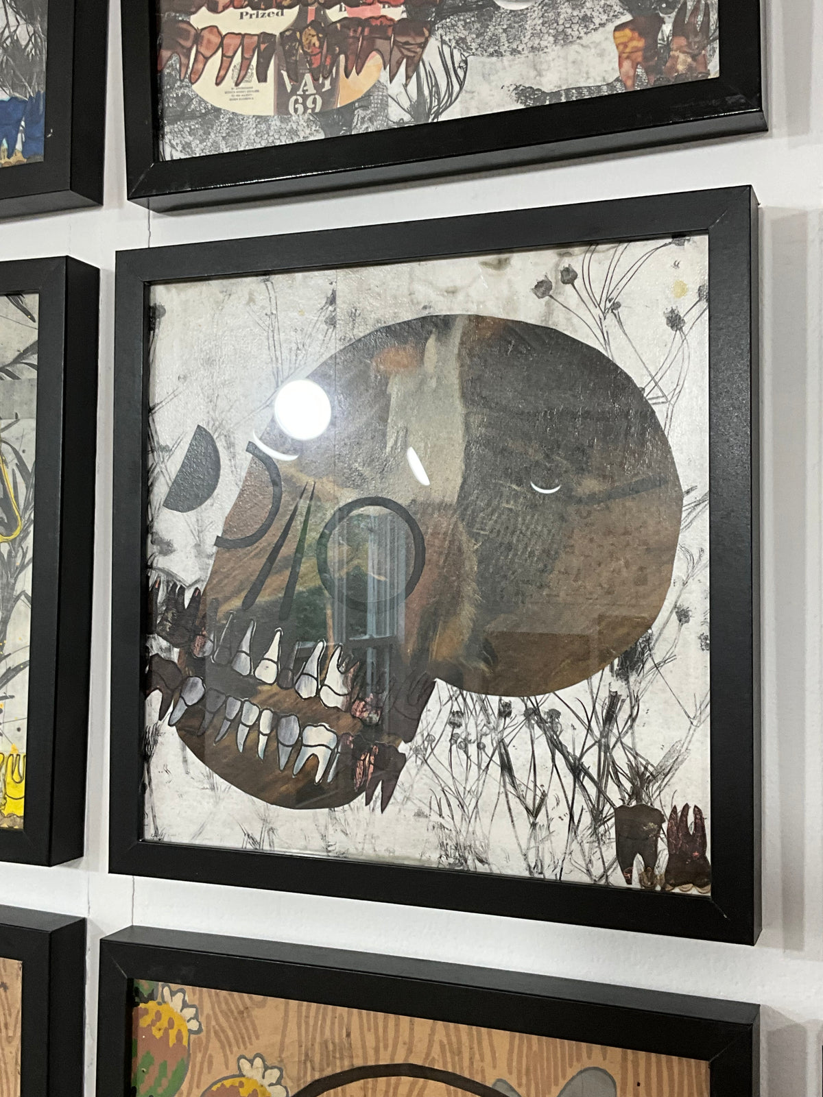 Petshop - Cody Heinert - 59 - Ride'em Cowboy Skull