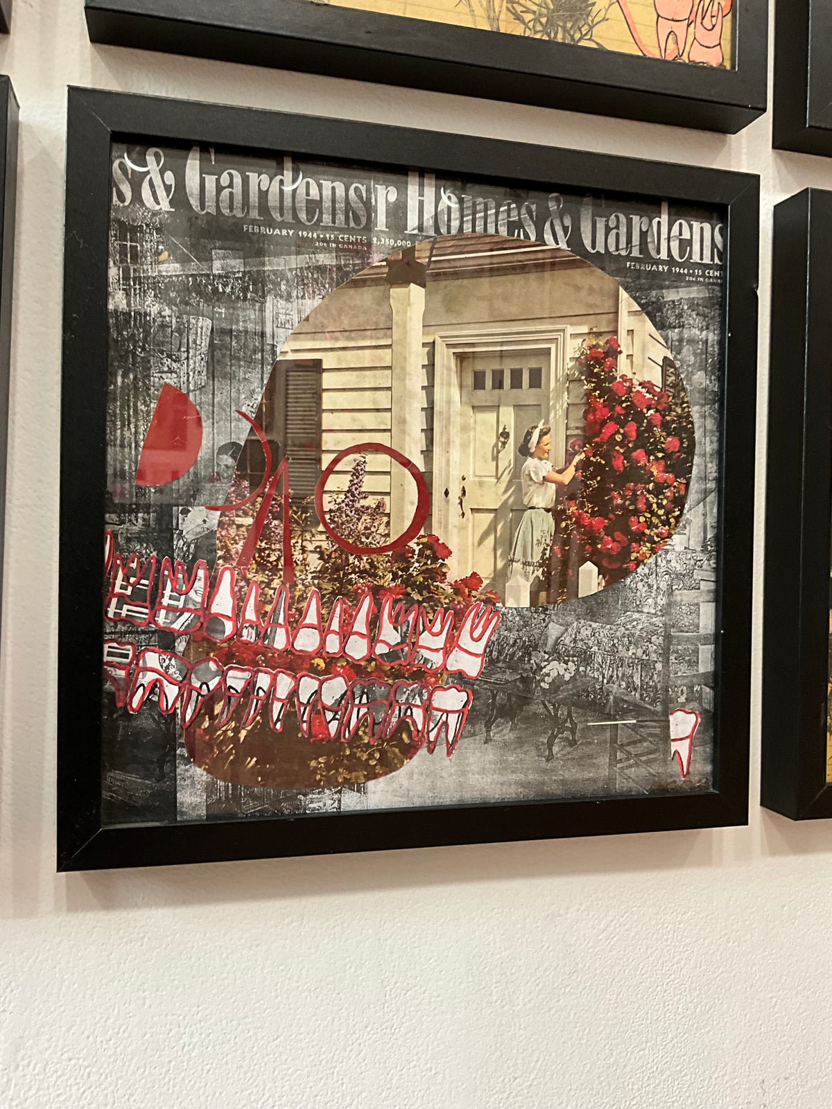 Petshop - Cody Heinert - 112 - Better Homes & Gardens Skull