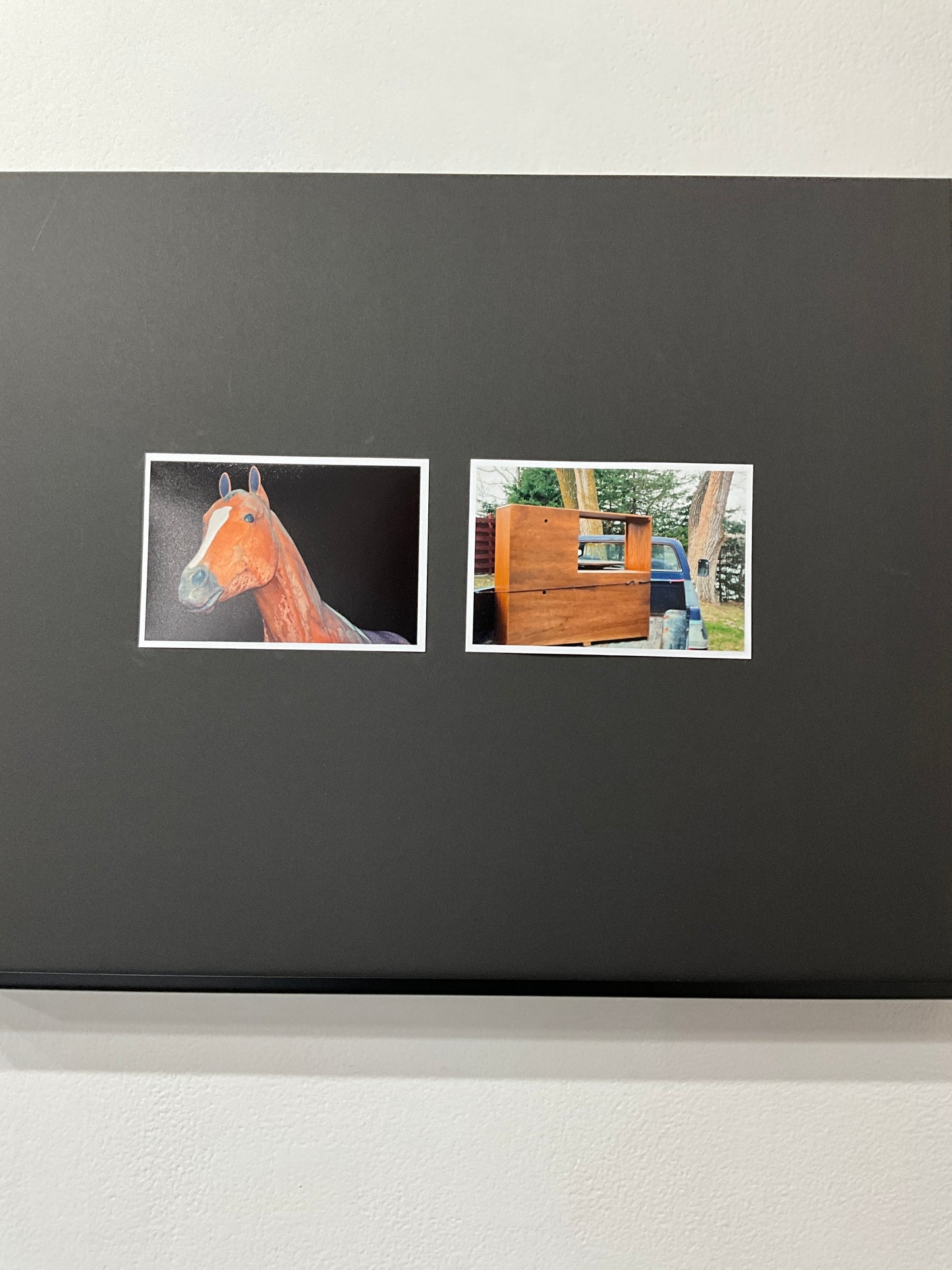 Petshop - Quentin Fortney - 6 - The horse sat 3 generations away.