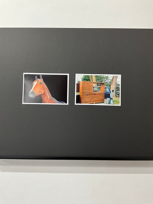 Petshop - Quentin Fortney - 6 - The horse sat 3 generations away.