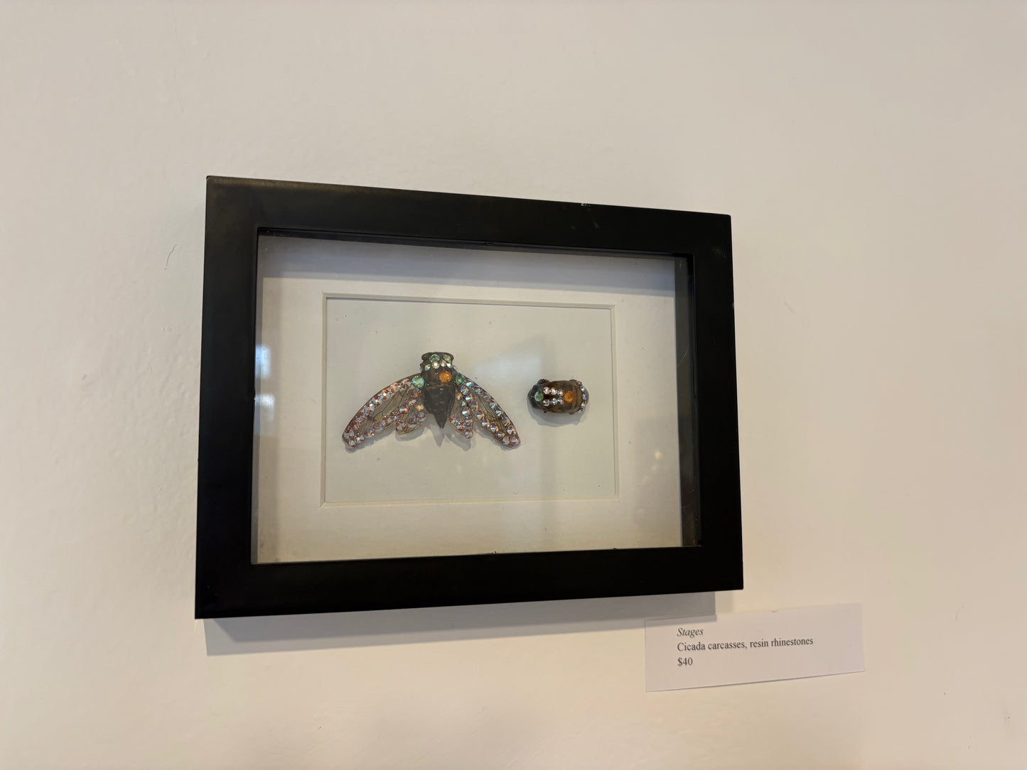 BFF Gallery - Cynthia Smith - Stages