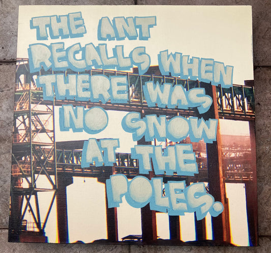 Petshop - Amoral City Folk - 3 - Jeffrey Jacobs - The Ant